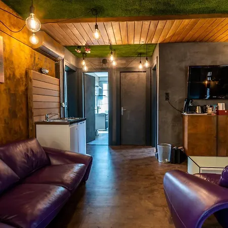 Appartement Dans Maison De Charme Barr